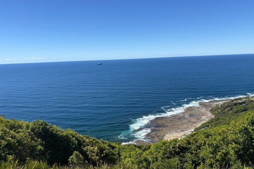 A coastal landscape with a clear blue sky, a sandy beach, and dense green vegetation. 3