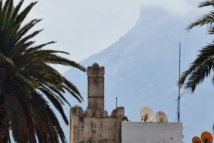 A building with a tower, palm trees, and mountains in the background. 2