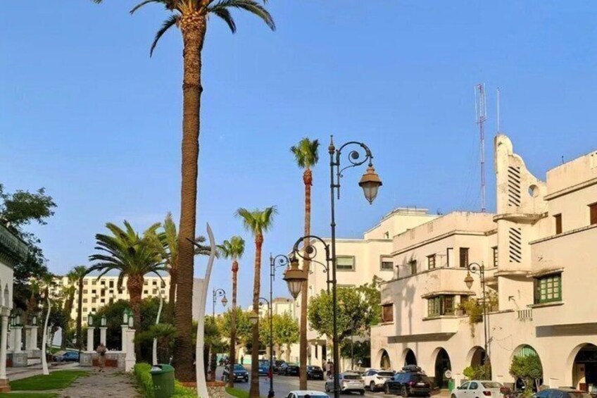 A street lined with palm trees, historic buildings, and parked cars. 4