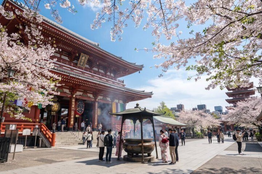 A traditional Japanese building with cherry blossoms, a pagoda, and a stone lantern. 1