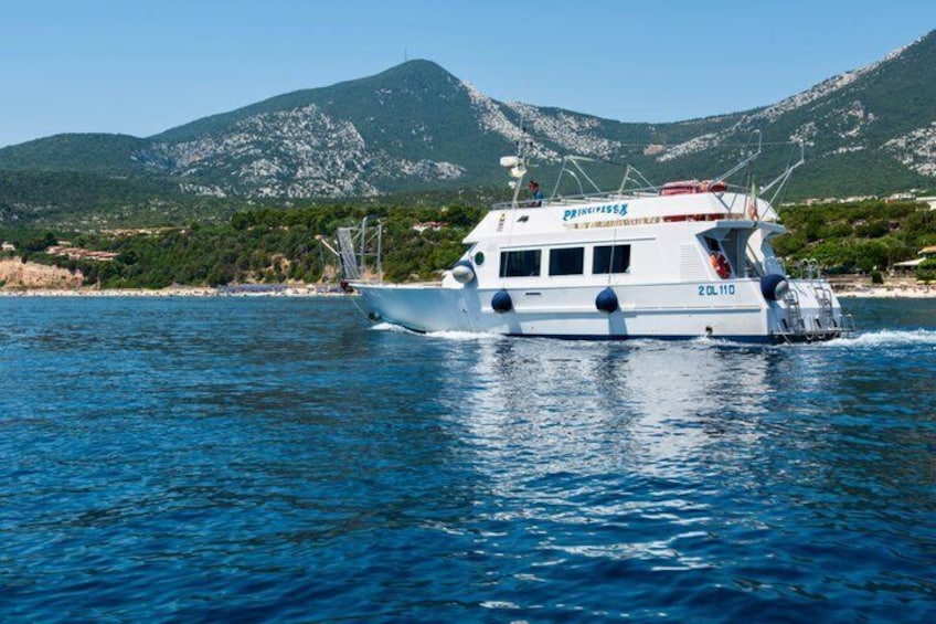 A white boat with 'Princess' written on the side, sailing on clear blue water with a mountainous landscape in the background. 4