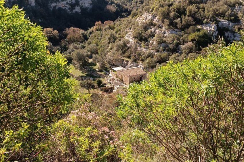 A mountainous landscape with a small building surrounded by dense vegetation. 2