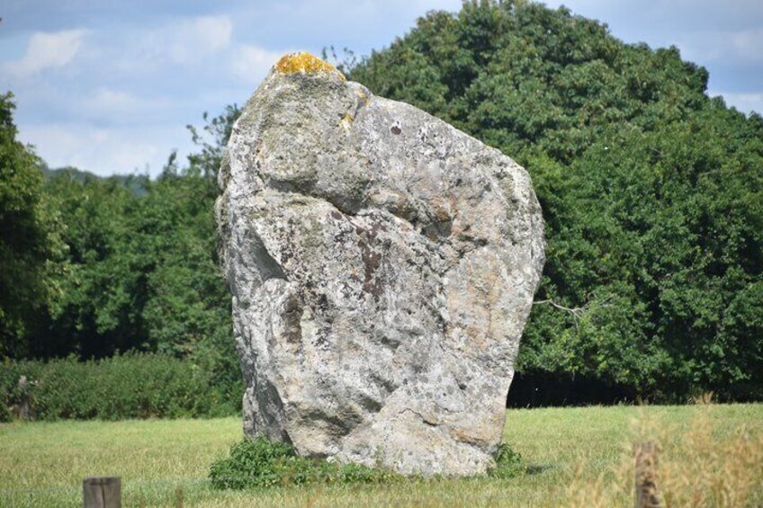 A large, irregularly shaped rock formation in a grassy field with dense trees in the background. 2