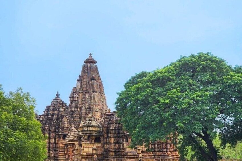 A temple with intricate carvings and a large tree in the foreground. 1