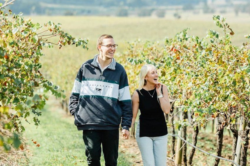 Two people walking in a vineyard. 1