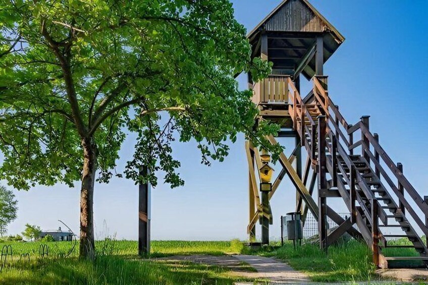 A wooden observation tower with a staircase, surrounded by trees and a grassy field. 4