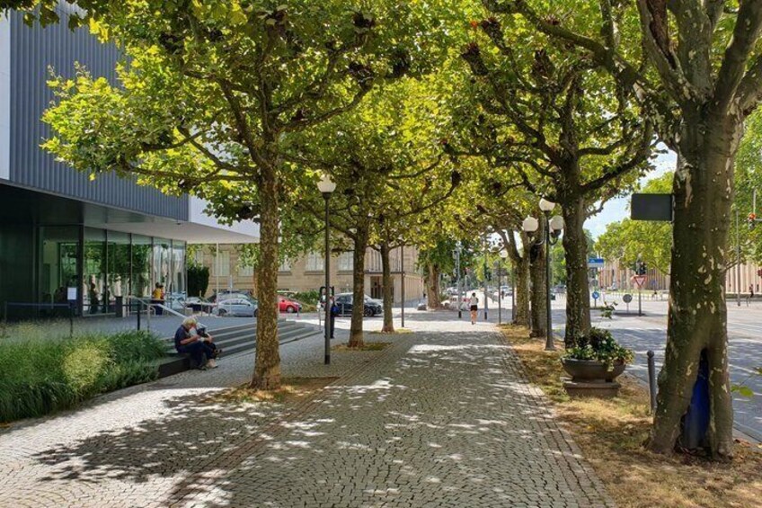 A paved pedestrian walkway lined with trees, a modern building, and parked cars. 4