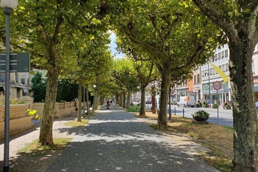 A tree-lined street with a speed limit sign, buildings, and a pedestrian pathway. 4