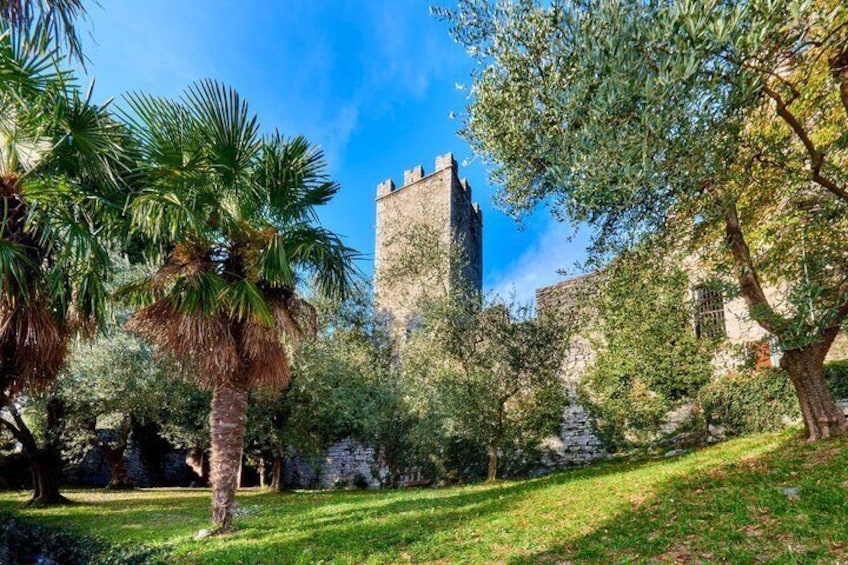 A castle, palm trees, and a grassy area. 4
