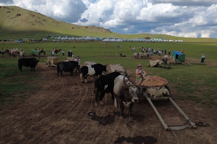 A rural landscape with livestock, a person riding a horse, and tents in the background. 3