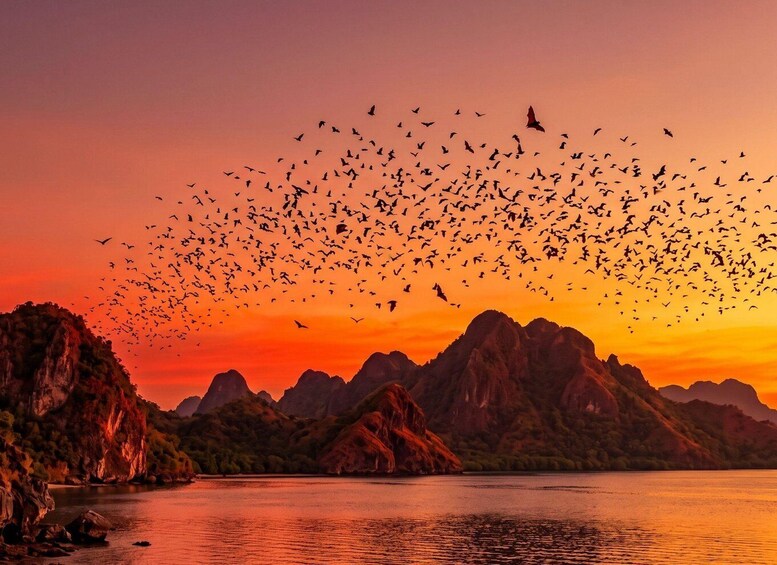 A sunset over a mountainous landscape with a flock of birds flying across the sky. 2