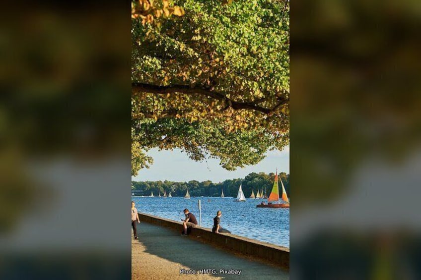 A waterfront with sailboats, people sitting on a dock, and trees overhead. 2