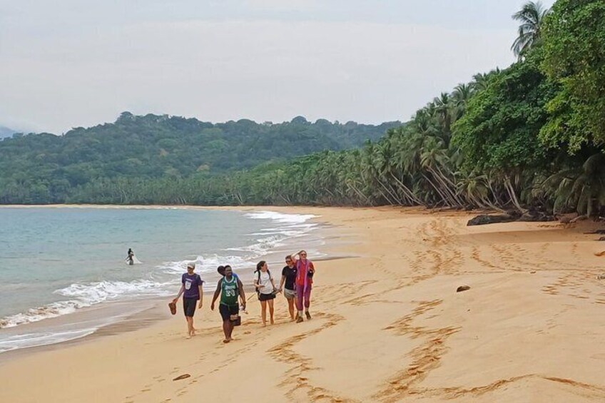A sandy beach with people walking, palm trees, and a forested hill in the background. 2