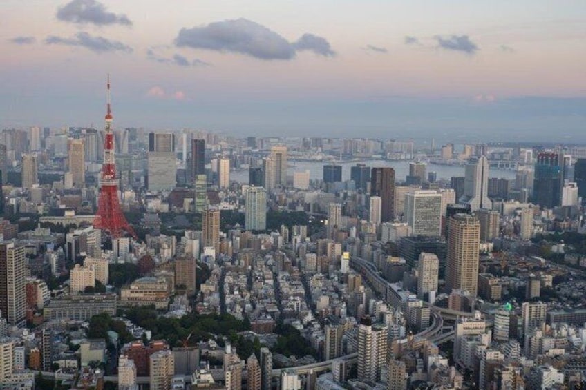 A cityscape with a prominent red tower, dense urban buildings, and a river in the background. 3