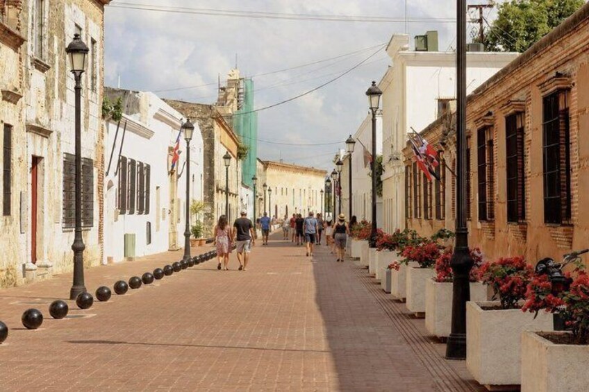 A paved street lined with historic buildings, some with balconies and shutters, and a row of flower pots with red flowers. 5