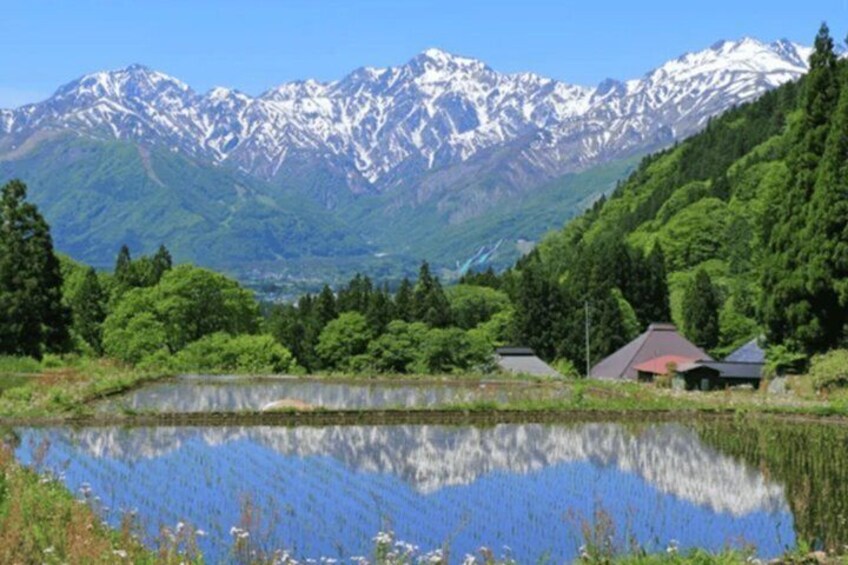 A mountain landscape with a lake, trees, and houses. 3