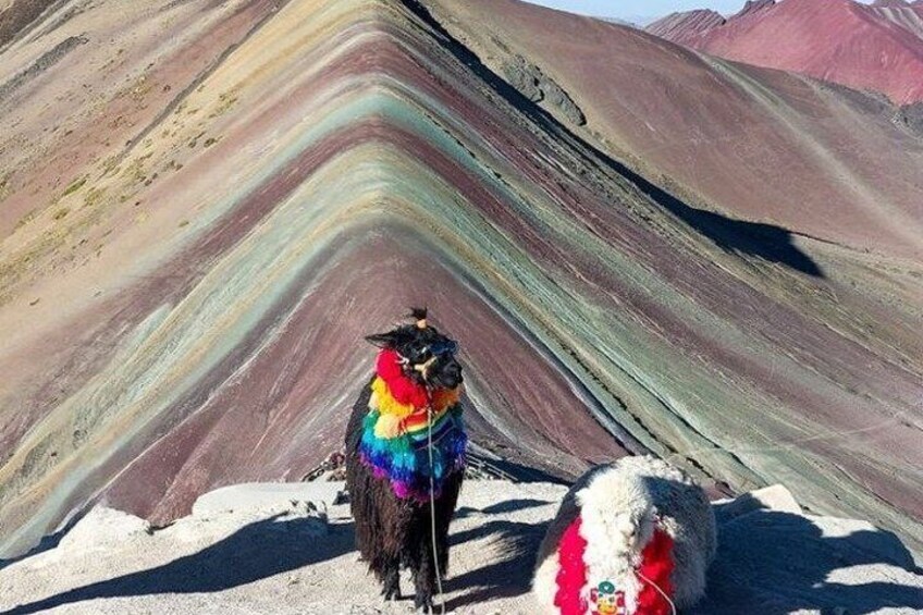 A llama with a colorful blanket standing on a colorful rock formation. 3