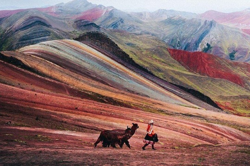 A colorful landscape with rolling hills and a person walking with a dog. 5