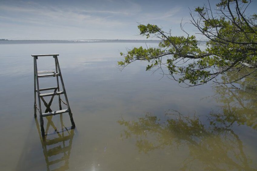 Una escalera se sumerge en aguas tranquilas, con una rama de árbol sobresaliendo a la derecha. 2