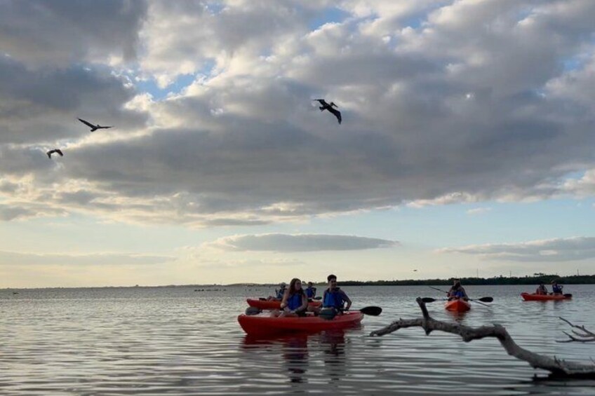 Personas haciendo kayak en aguas tranquilas bajo un cielo nublado. 1