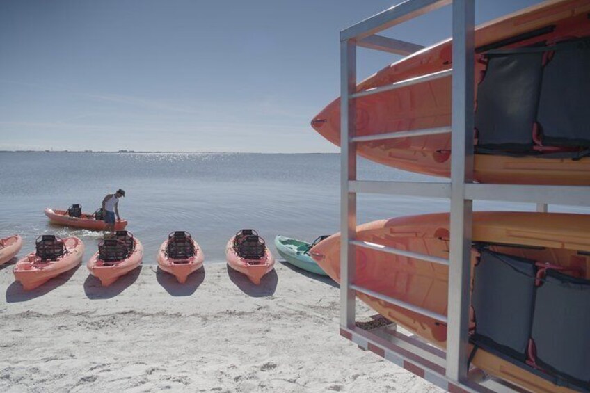 Una playa con kayaks alineados y una persona remando en kayak en el agua. 3
