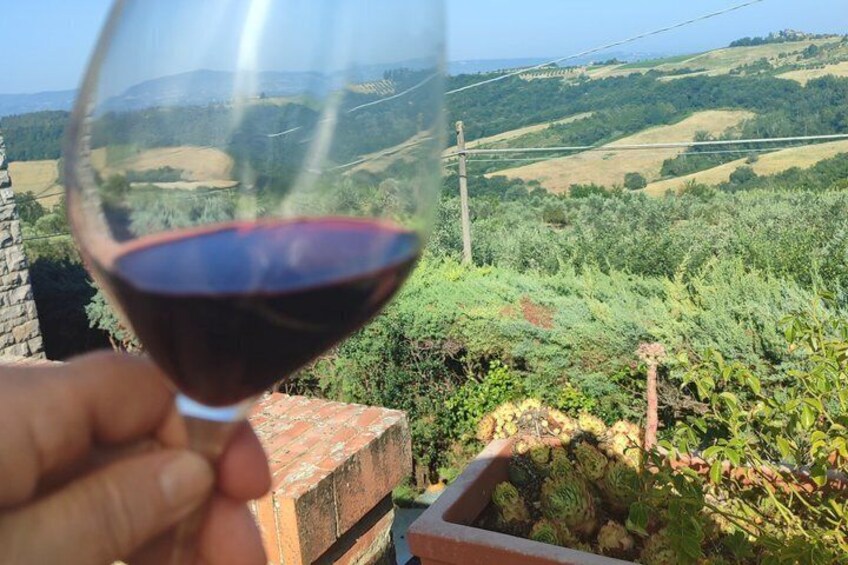 A hand holding a wine glass with a vineyard in the background. 1