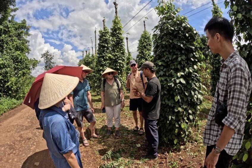 A group of people standing in a rural area with trees and a dirt path. 4