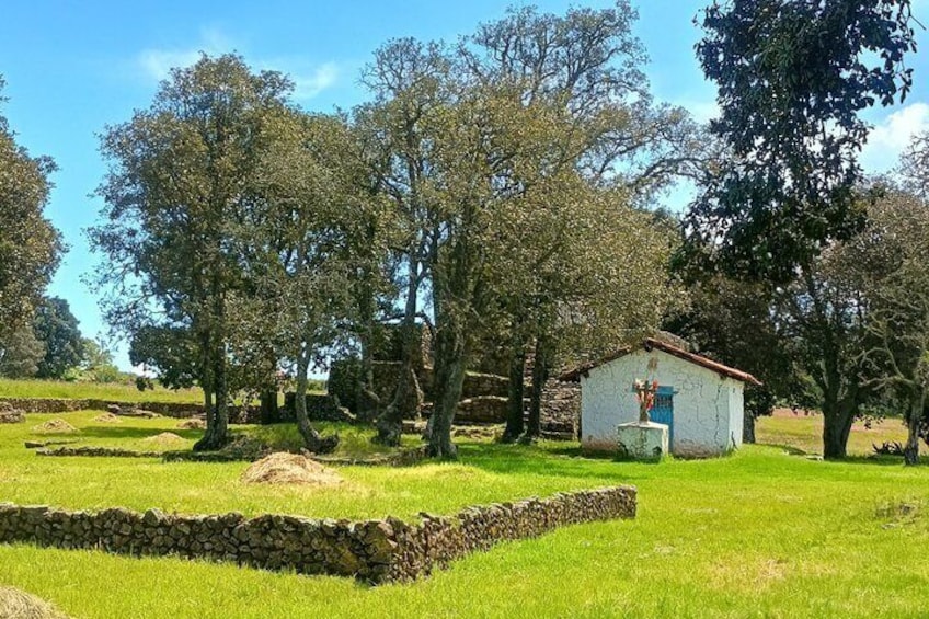 A rural landscape with a stone wall, trees, and a small white building with a blue door. 3