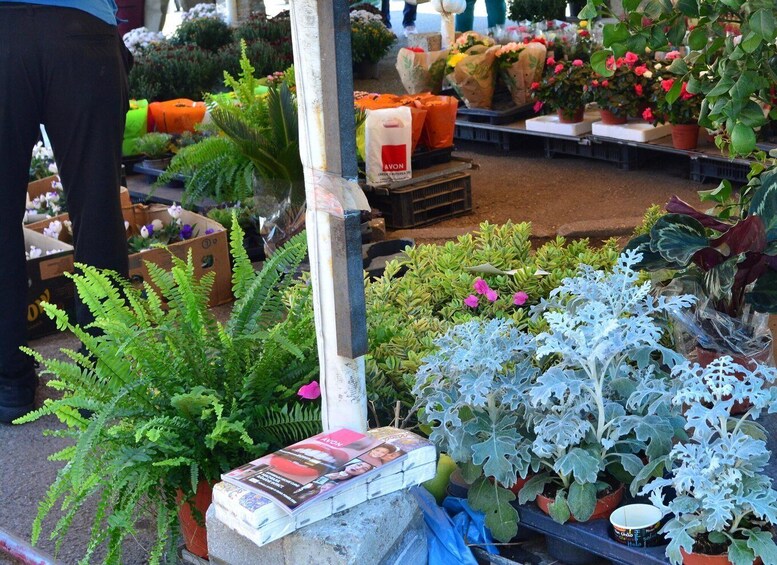 A variety of potted plants and flowers at a market stall. 1