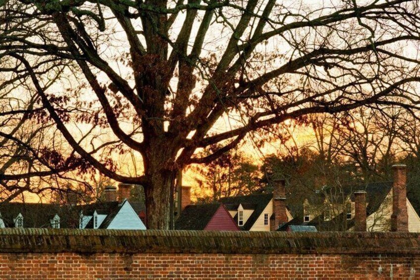 A large tree with bare branches in front of a row of houses with red and blue roofs. 2