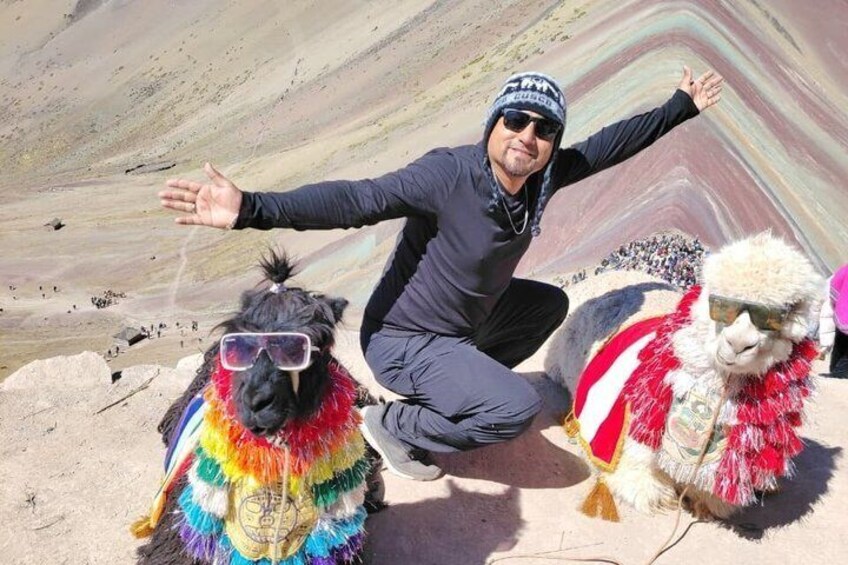 A person with outstretched arms, two llamas with colorful decorations, and a mountainous landscape. 4