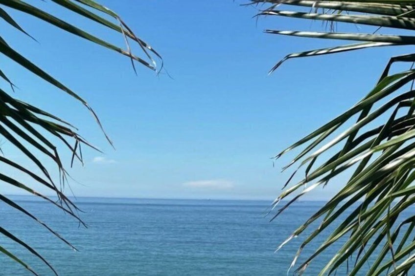 A clear blue sky and calm sea with palm leaves framing the view. 2