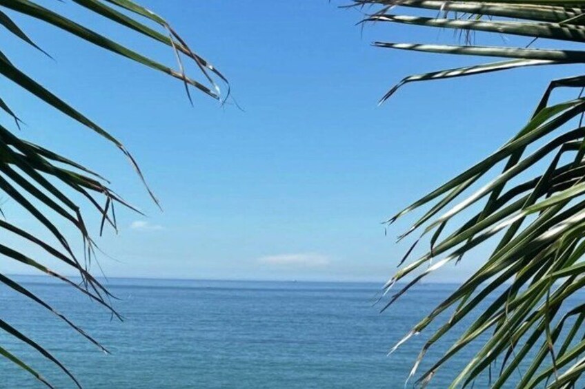 A clear blue sky, calm sea, and palm leaves framing the view. 2