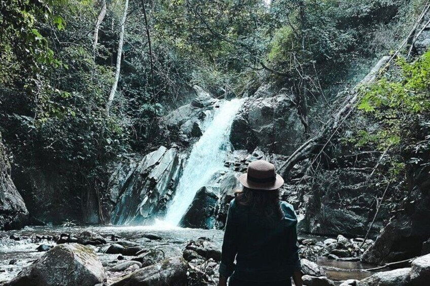 A person standing in a forest observing a waterfall. 2