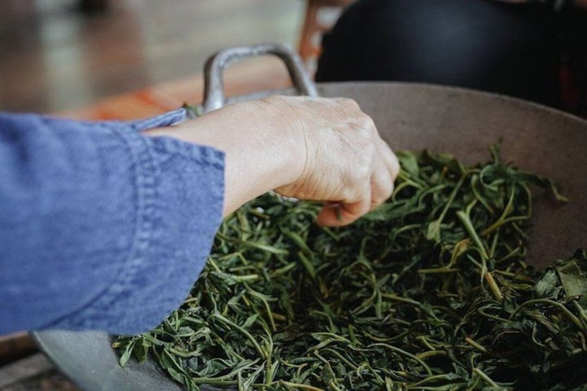 A hand holding a metal bowl filled with green leafy herbs. 5