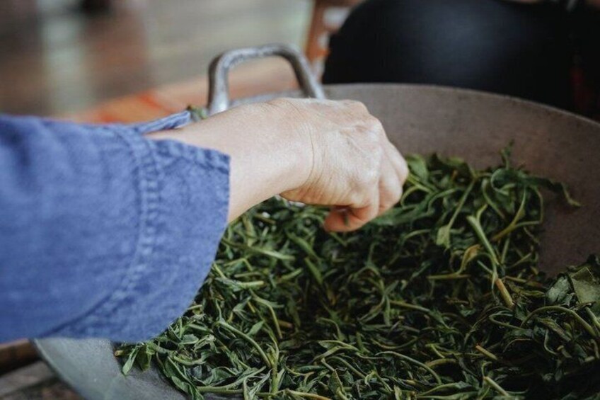 A hand holding a large metal pan filled with green leafy herbs. 5