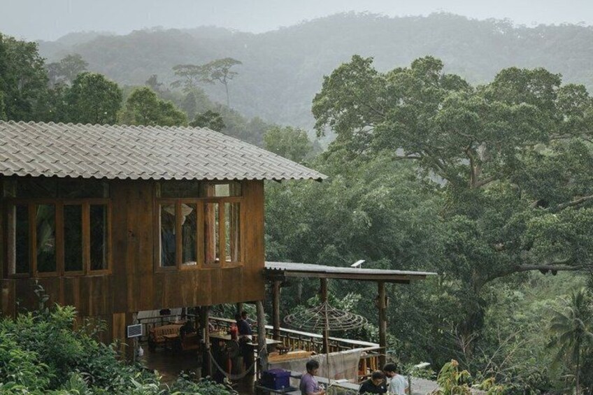 A wooden house with a tiled roof, surrounded by lush greenery and a misty mountain backdrop. 4