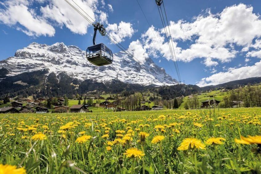 A cable car over a field of yellow flowers with a mountain range in the background. 1