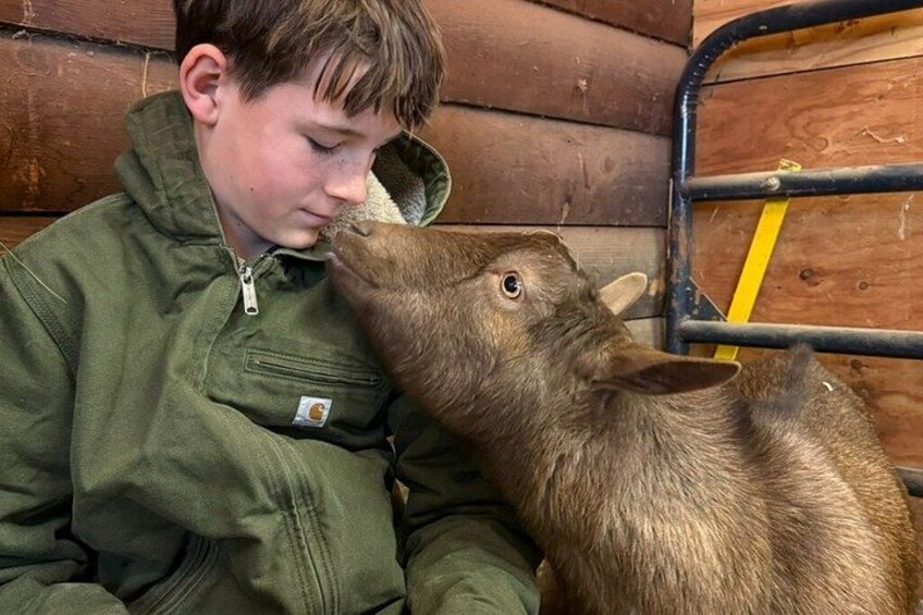 A person in a green jacket sitting next to a brown animal, possibly a deer, in a wooden structure with metal bars. 5