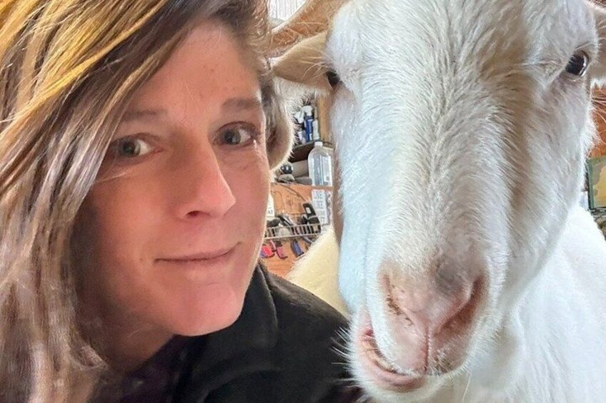 A person and a white goat. 4