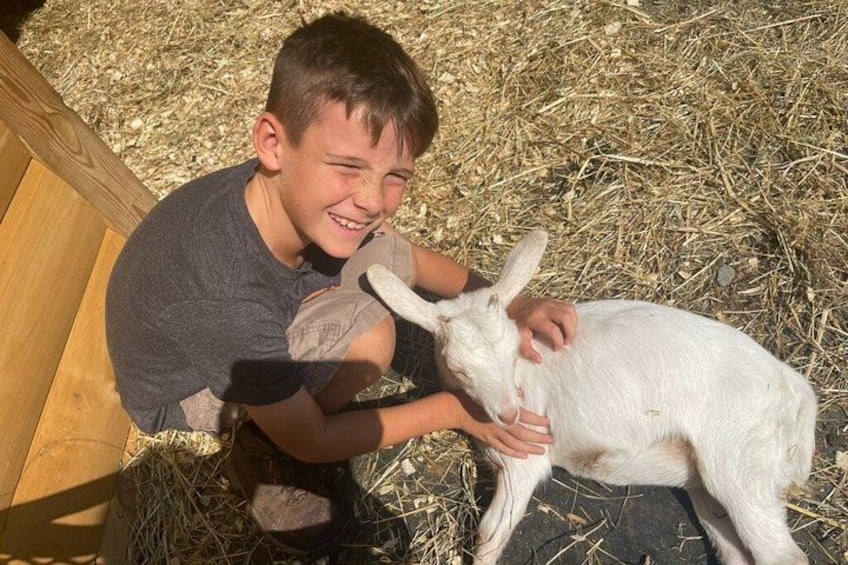 Hugs and Hike with the Goat Rescues at Frederick Farm Sanctuary 3