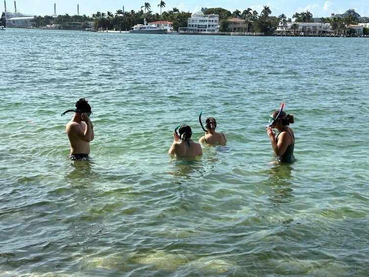 Key Largo: Marine Eco Tour with Swimming & Sandbar  4