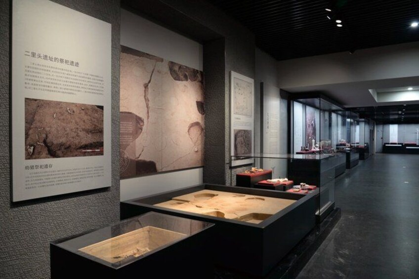 An indoor museum exhibit with artifacts displayed in glass cases and informational panels. 3