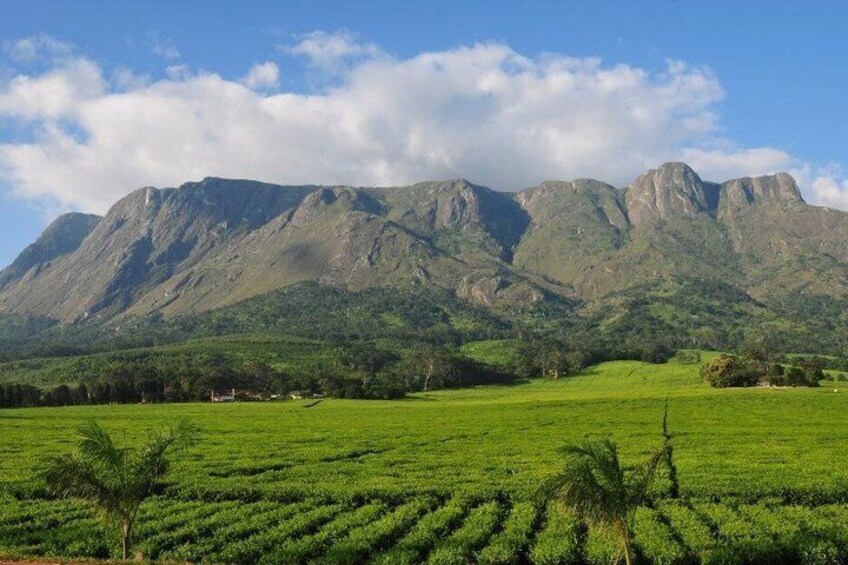 A mountainous landscape with green fields and a clear sky. 5