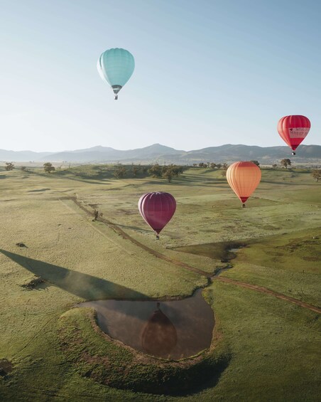 A landscape with a field, a water body, and four hot air balloons in the sky. 5