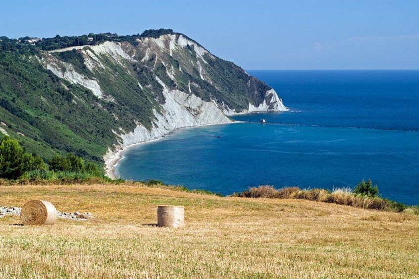 A coastal landscape with a grassy foreground, a cliff with white cliffs, and a clear blue sea. 5