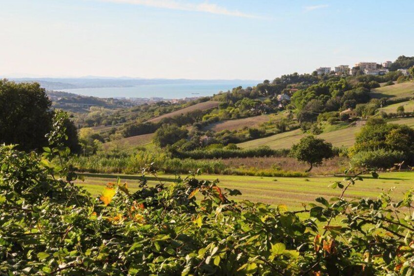 Rolling hills, a distant body of water, and scattered buildings. 2