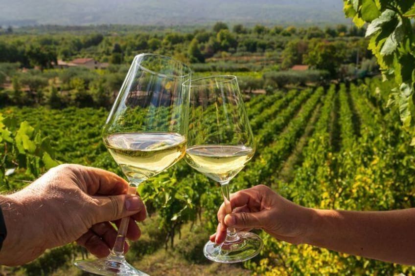 Two people toasting with white wine glasses in a vineyard. 3