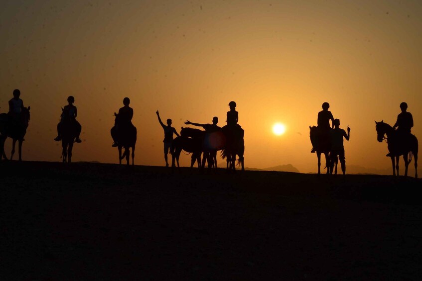 Silhouettes of people on horseback against a sunset. 3