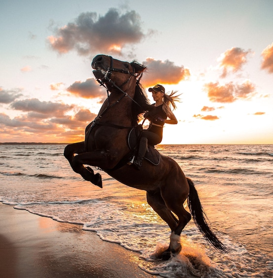 A person riding a horse on a beach at sunset. 4